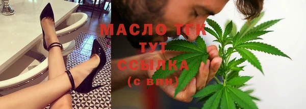 индика Магас