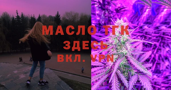 индика Магас