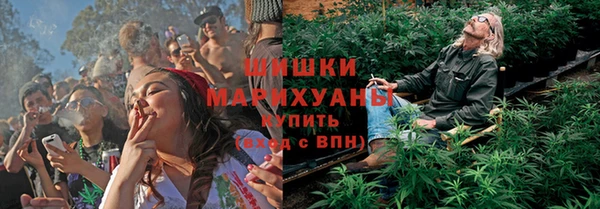 индика Магас