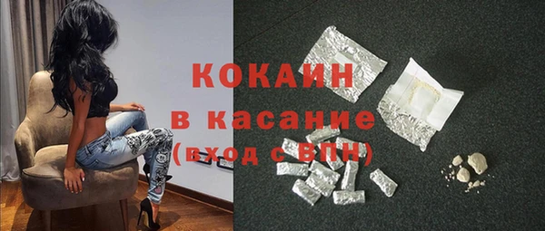 индика Магас