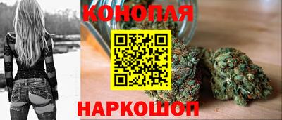 прущие грибы Нягань