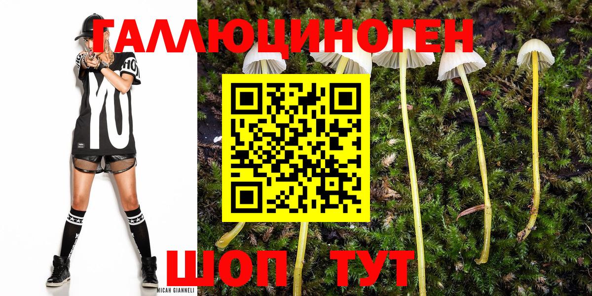 Галлюциногенные грибы мицелий  Псилоцибиновые грибы Psilocybine cubensis  Вход с VPN  Оренбург 